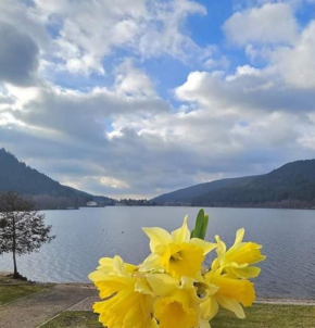 Les yeux du lac Gérardmer